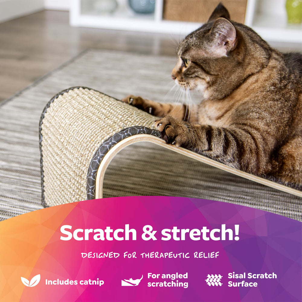 Cat enjoys a satisfying scratch on the ramp with catnip.
