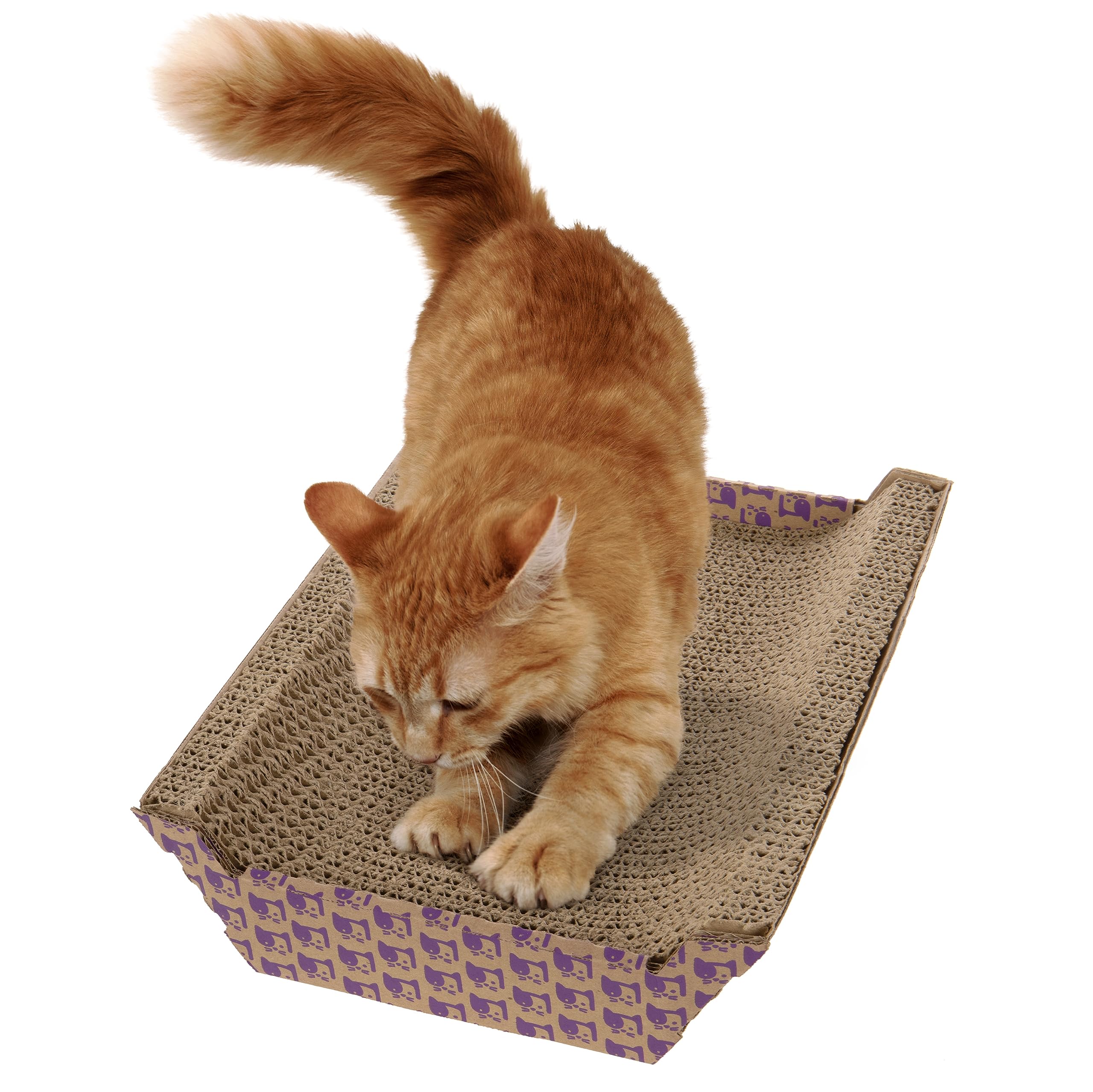 SmartyKat multifunction-scratcher-bed: doubles as a cat bed.