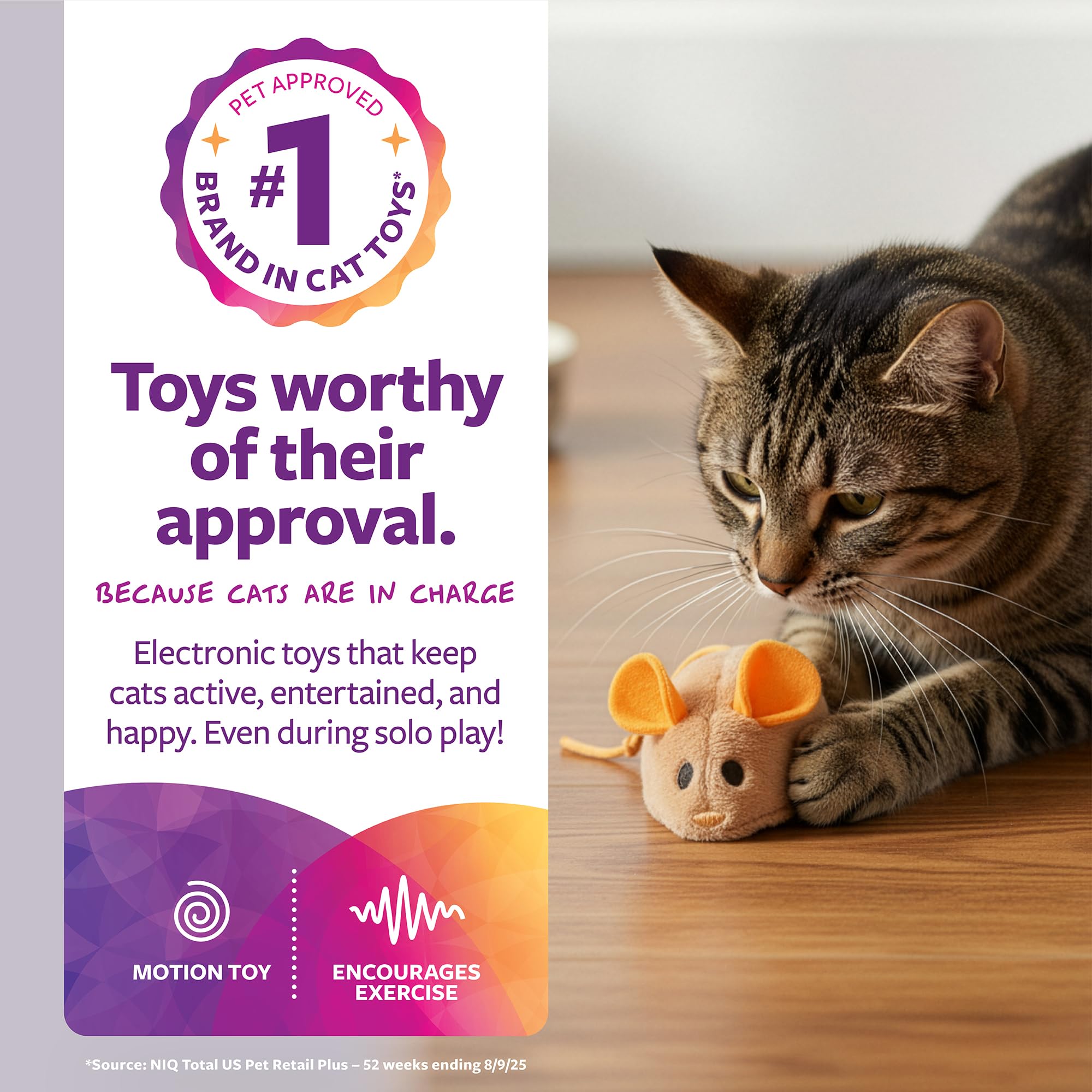 SmartyKat Race N' Chase toy mimics prey motion during interactive session.