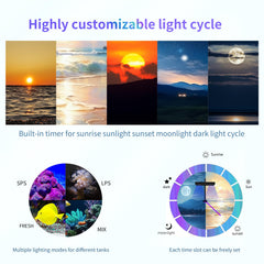 SMATFARM reef light sunrise-sunset moonlight mode enhances natural day-night cycle.