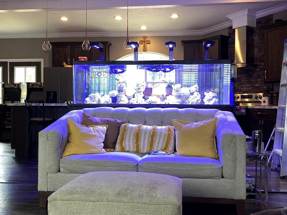 SMATFARM Full Spectrum Reef Lighting delivers vibrant color and natural light cycles.