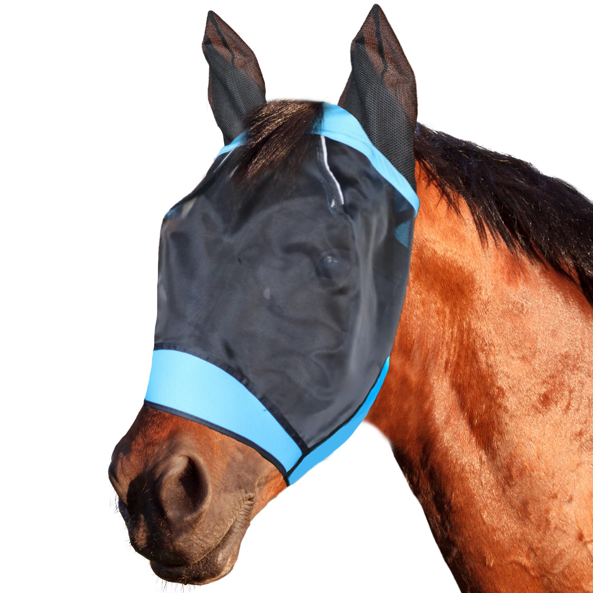 SMFUSMFU fly mask on blue horse, front view showing eye protection.