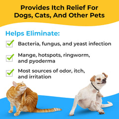 Smiling Paws Pets antibacterial wipe used on a dog's face for gentle cleansing