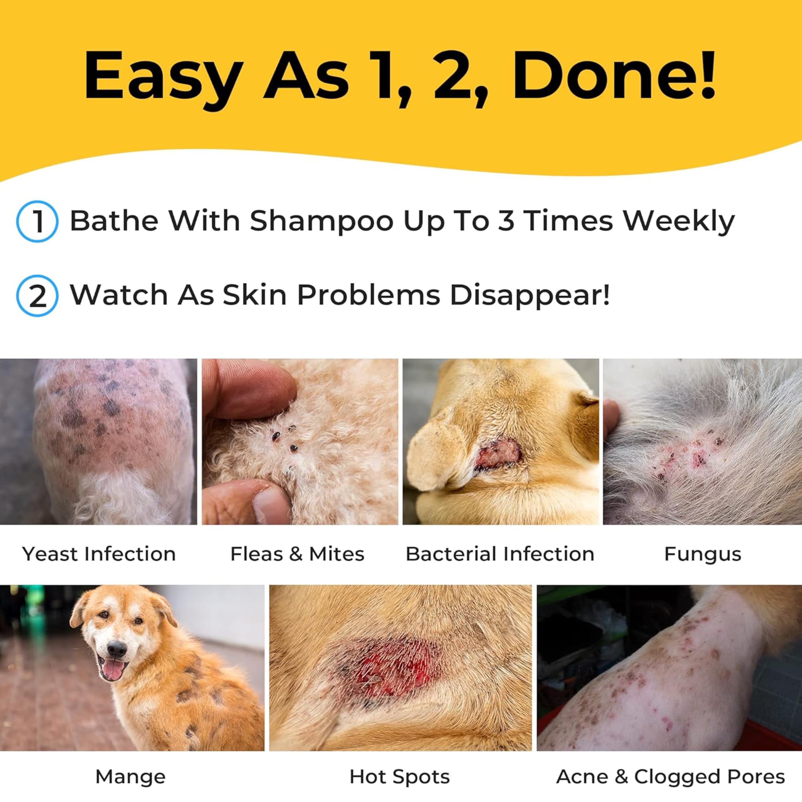 Smiling Paws Pets cat dermatitis relief during grooming routine