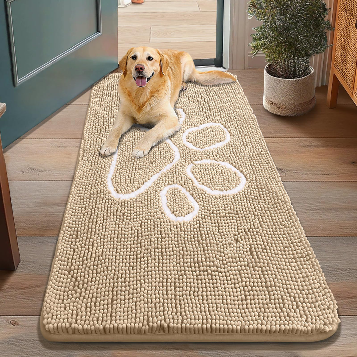 Smiry dog door mat with chenille soft touch at entryways.