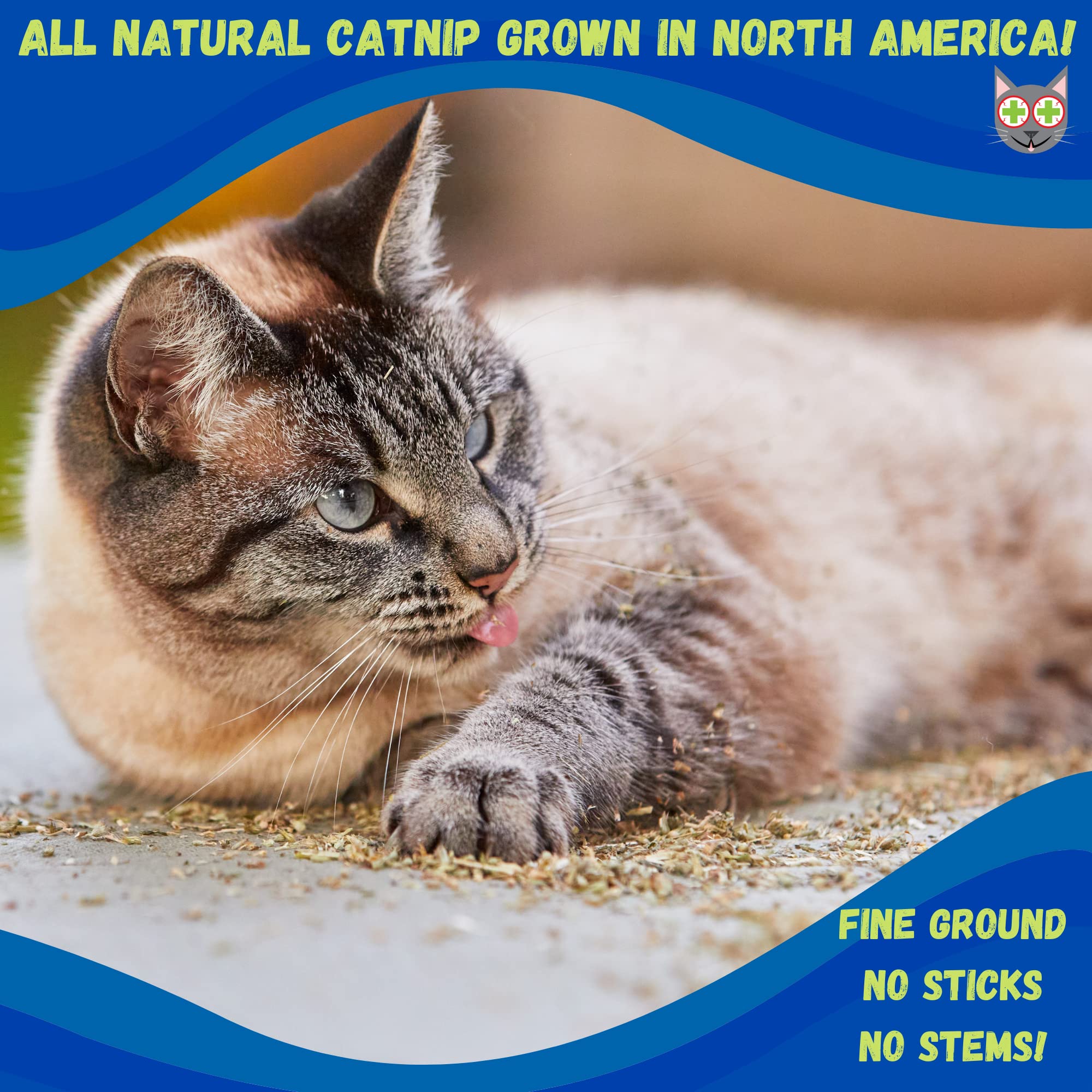 Smokey's Stash catnip stalkless ground closeup leaves, potent aroma for play.