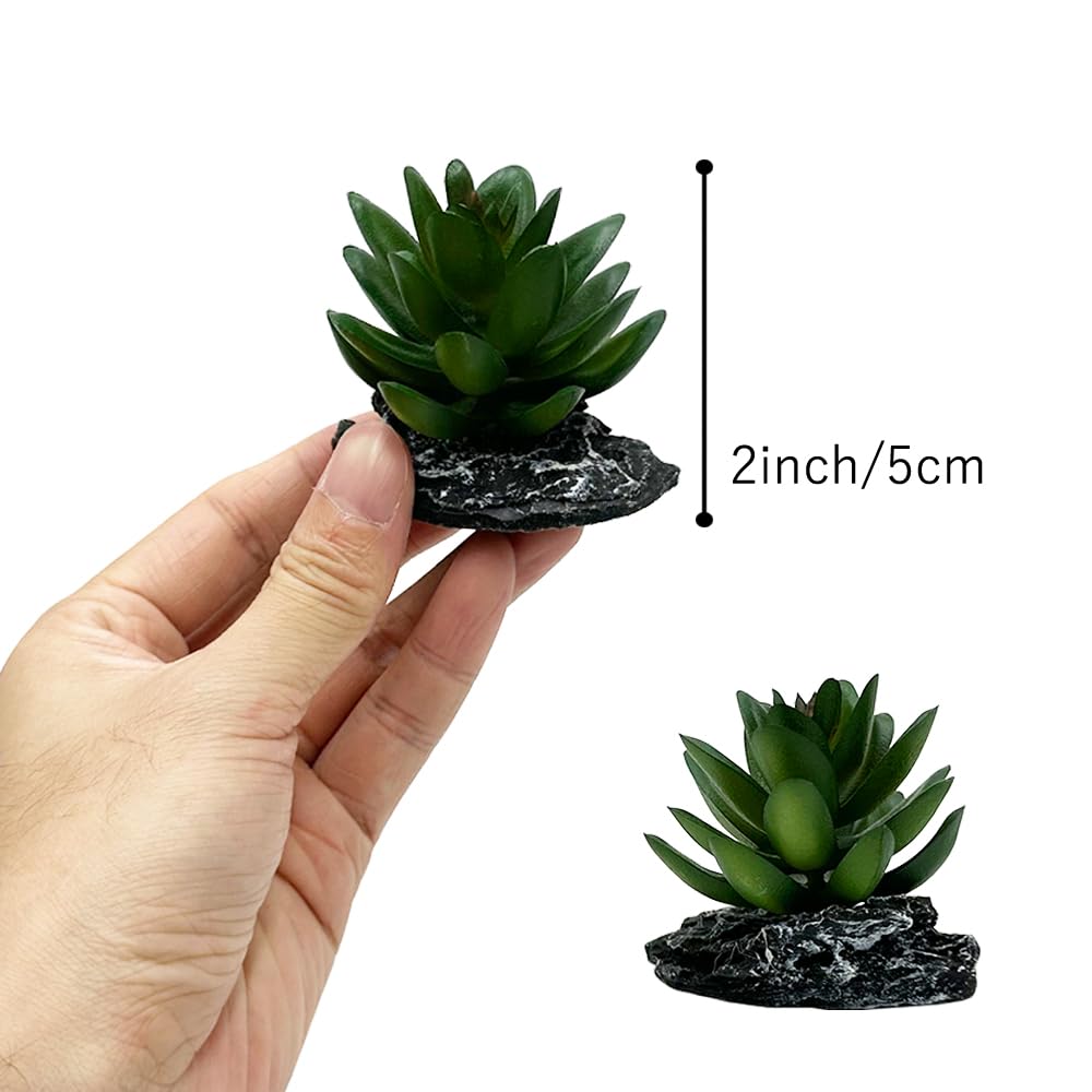 Smoothedo-Pets dark-green-3pcs plants enhance rainforest and desert terrarium aesthetics.