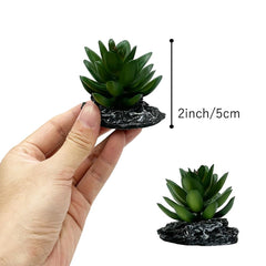 Smoothedo-Pets dark-green-3pcs plants enhance rainforest and desert terrarium aesthetics.