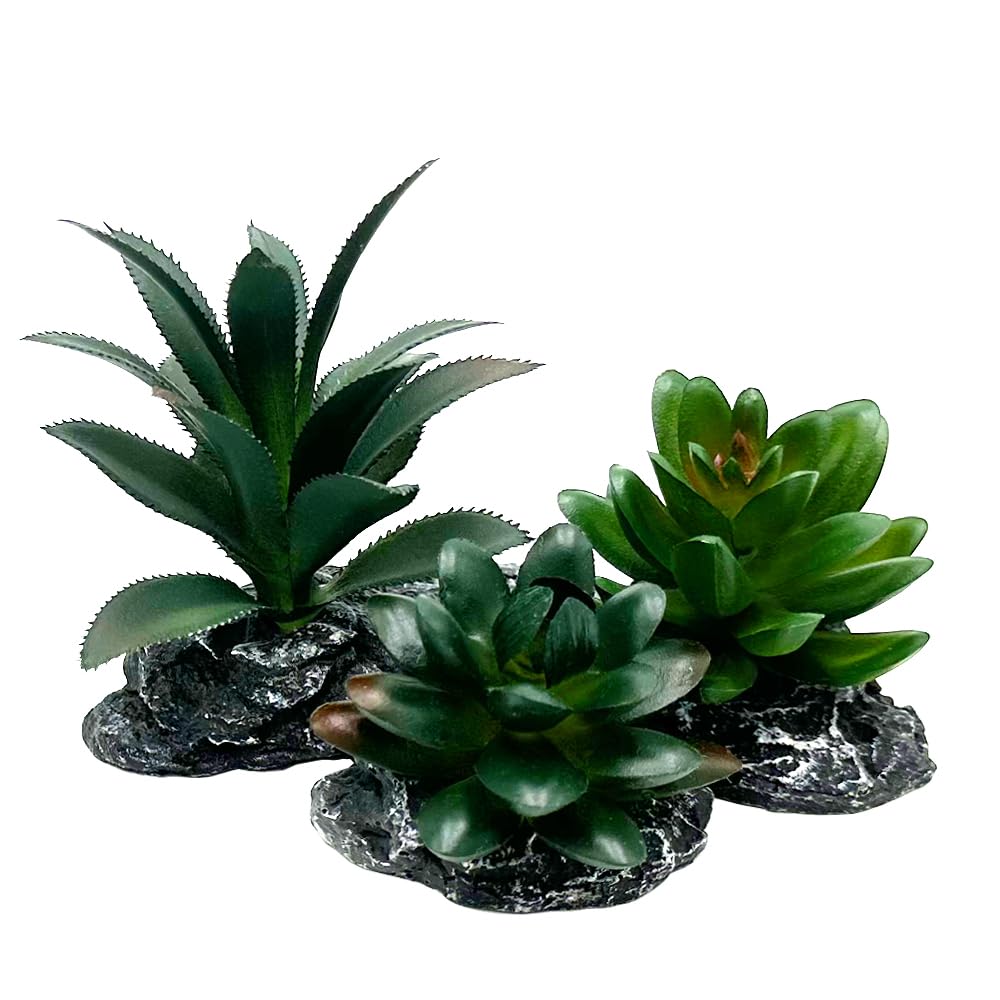Smoothedo-Pets dark-green-3pcs set suits multiple tank sizes for versatile display.