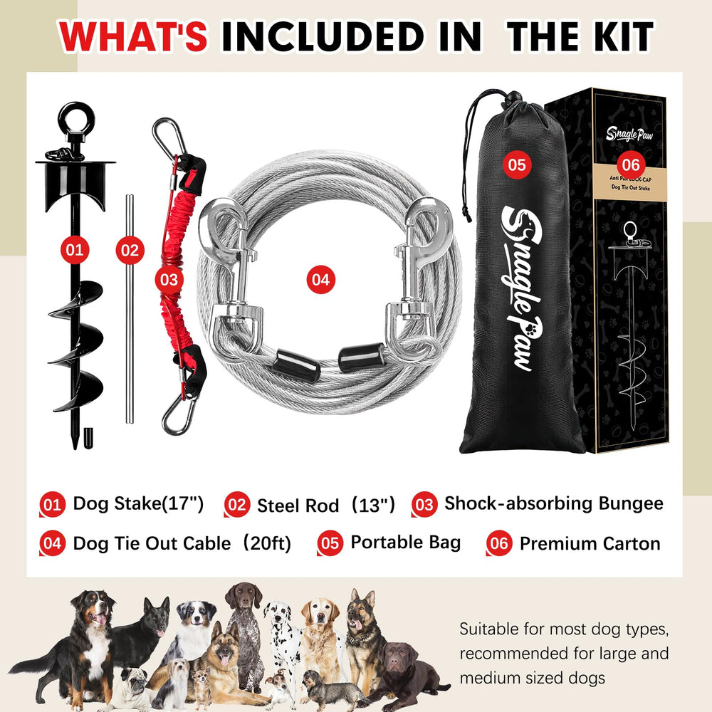 Snagle Paw beach camping setup enables safe outdoor dog activities