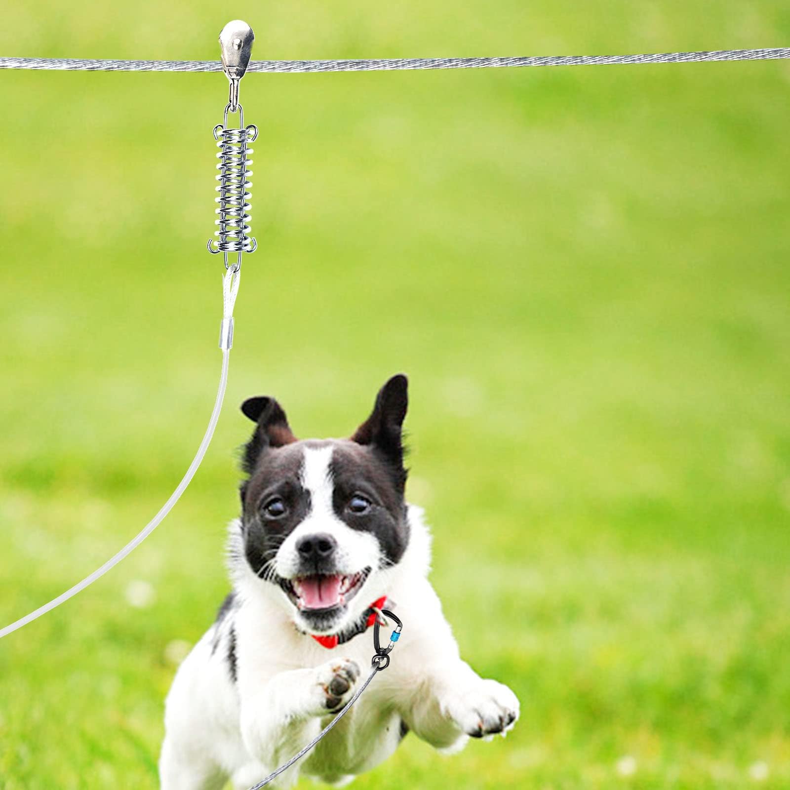 Snagle Paw camping-ready setup offers hands-free safety in the outdoors.