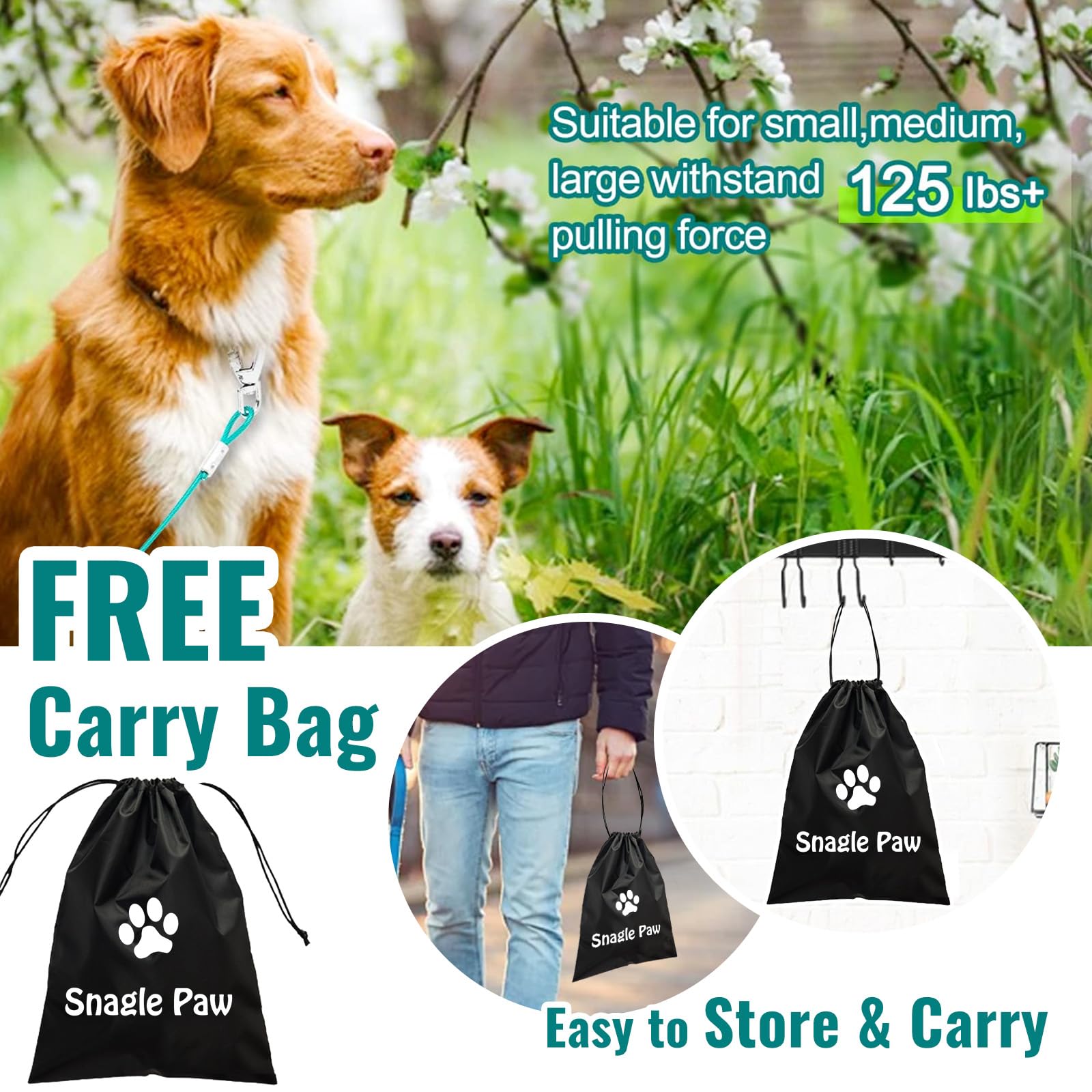 Snagle Paw dog runner used on camping trip for controlled outdoor time
