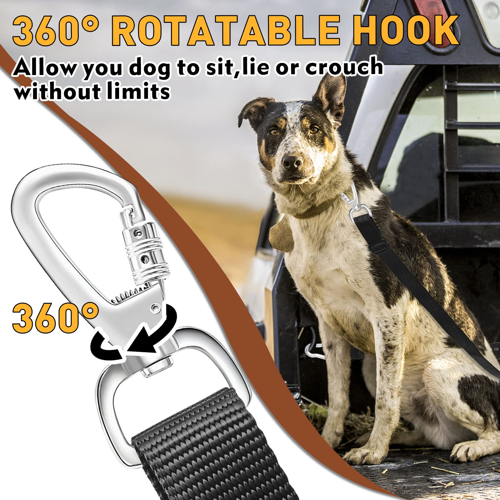 Snagle Paw dog secured in truck bed during roadside stop.