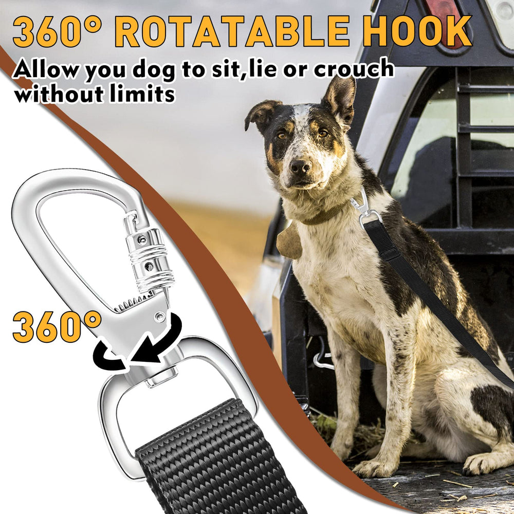Snagle Paw dog secured in truck bed during roadside stop.