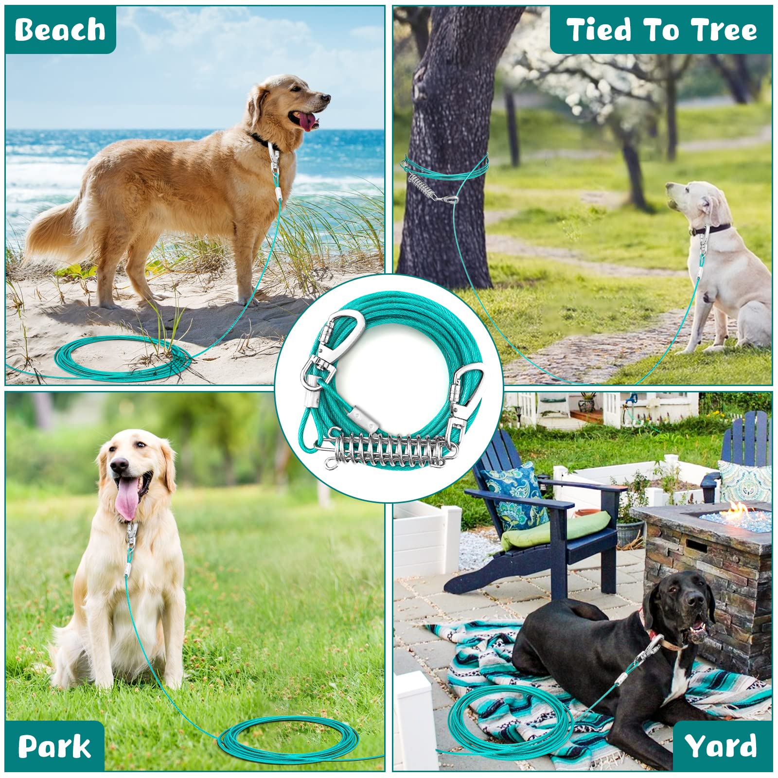 Snagle Paw ground pillar attachment setup for secure tie-out