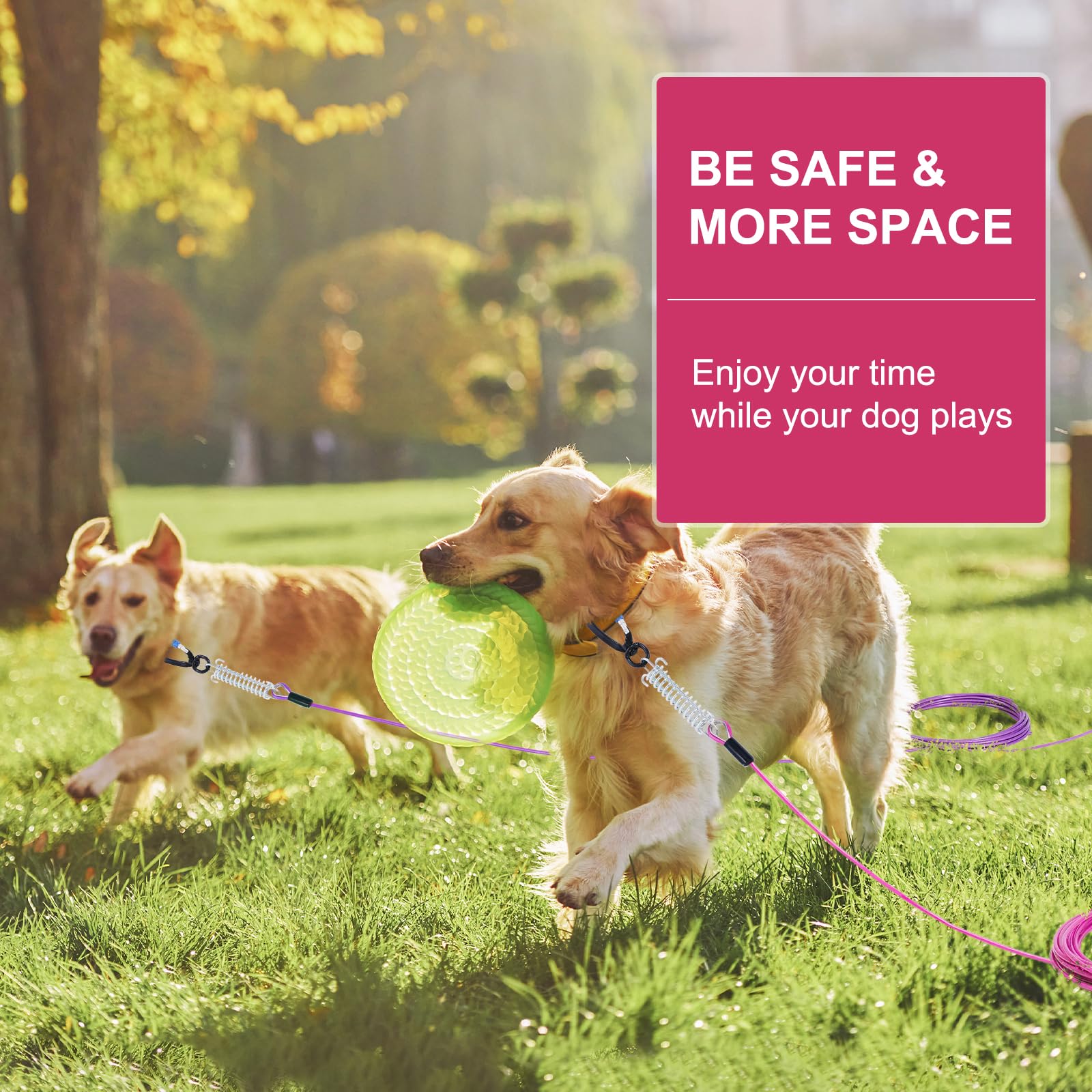 Snagle Paw outdoor dog run in action demonstrates safe roaming.