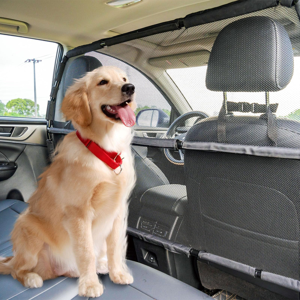 Snagle Paw see-through mesh barrier keeps pets secure in the back seat.
