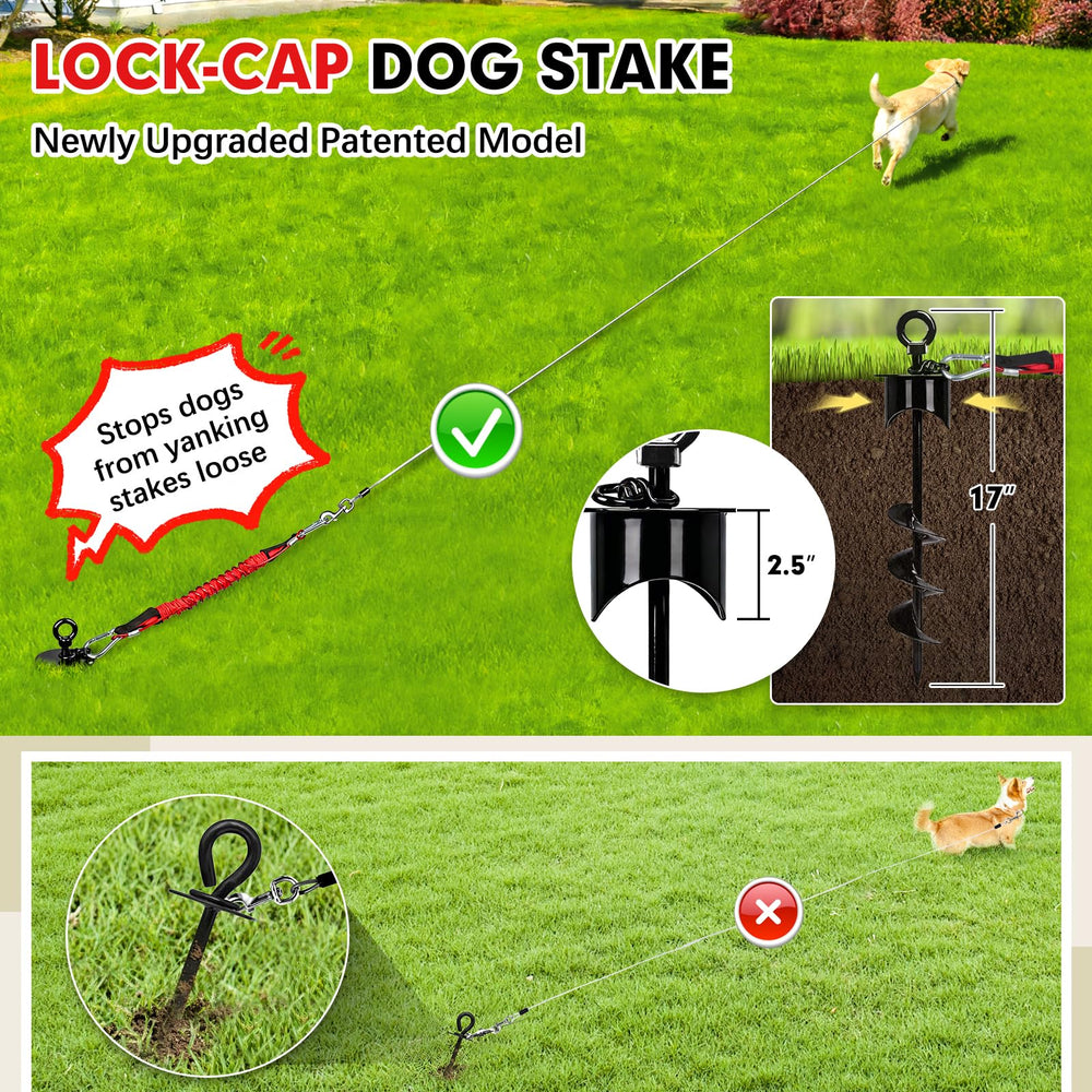 Snagle Paw shock absorbing tether cushions sudden sprints for comfort