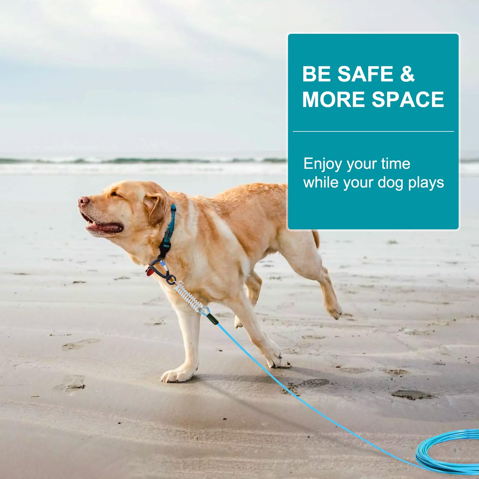 Snagle Paw portable storage bag keeps the tie-out cable organized on trips.