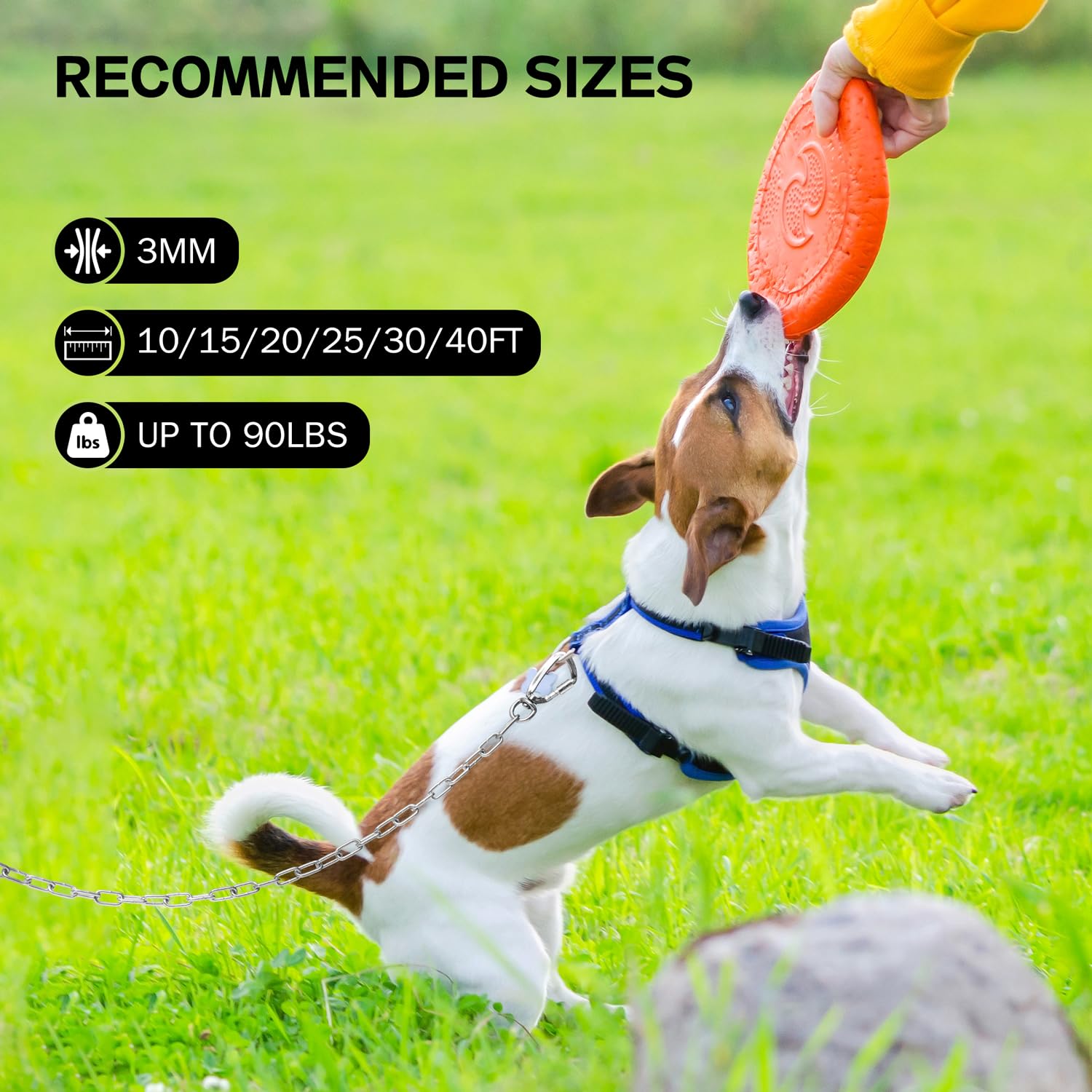 Snagle Paw dog tie-out cable ideal for yard, park, and camping use.