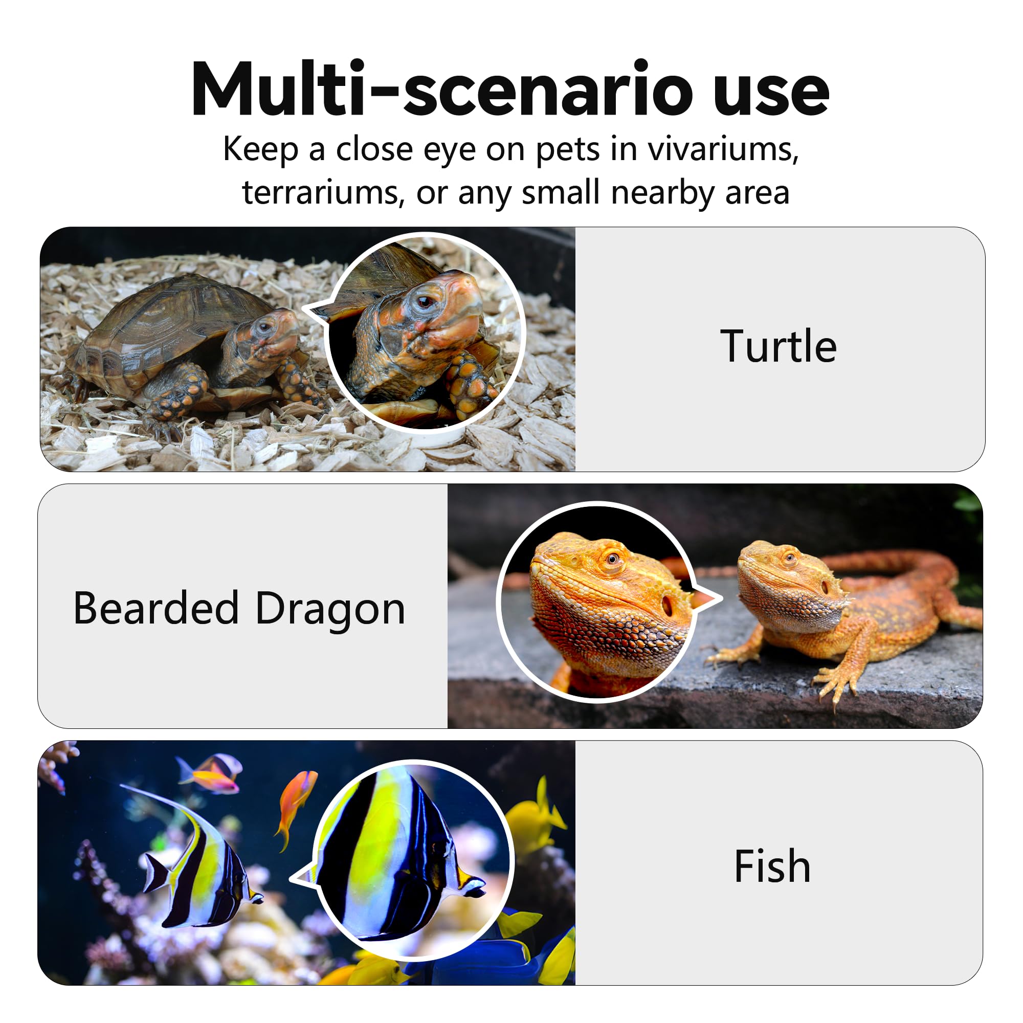 SnapBud 24/7 recording offers continuous footage with easy retrieval.