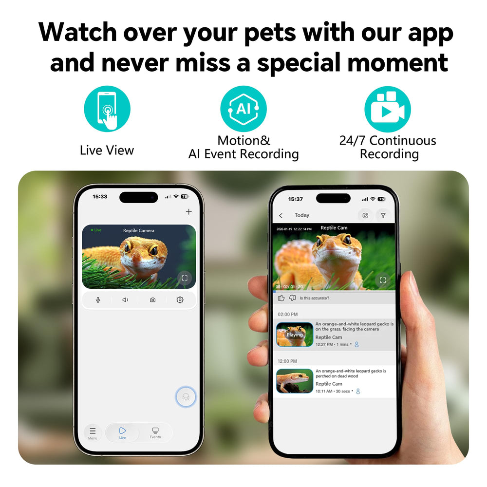 SnapBud AI motion alerts notify you of unusual activity in real time.