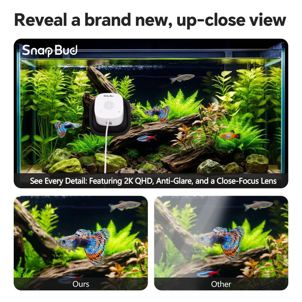 SnapBud anti-glare coating reduces glass reflections for clearer viewing.