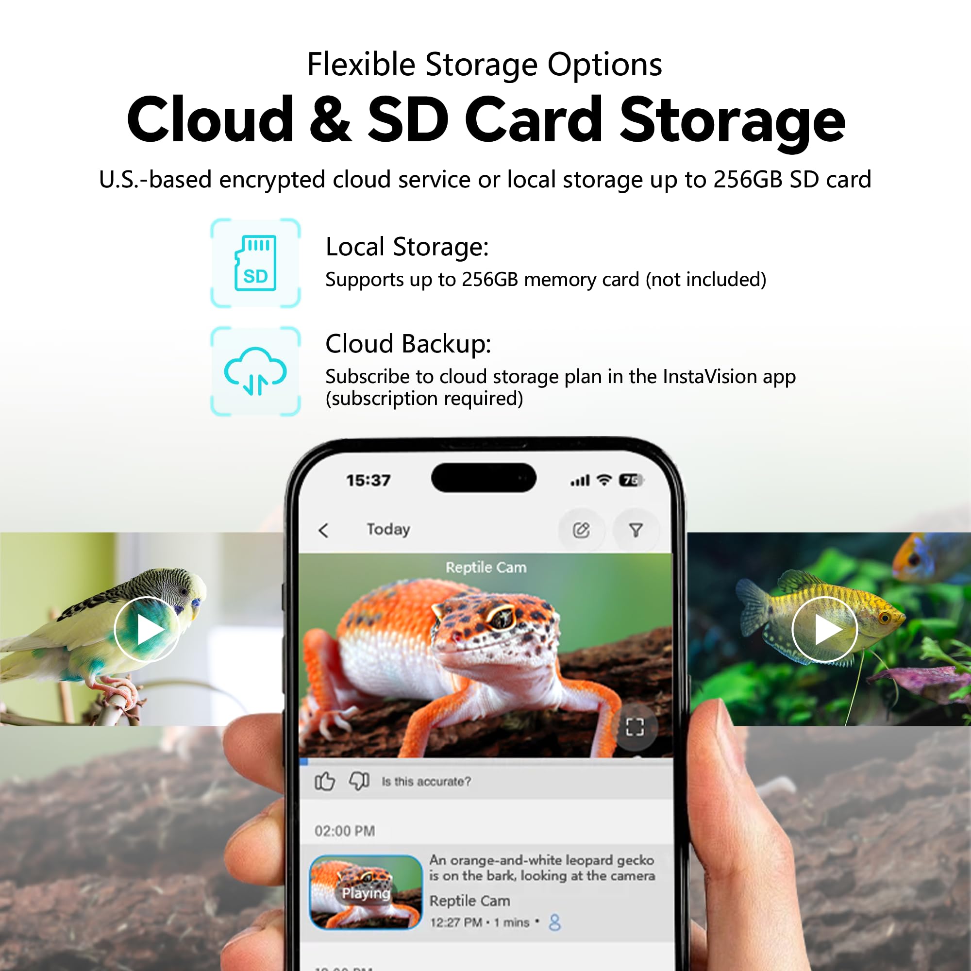 SnapBud dual-band WiFi ensures stable connection for live streaming.