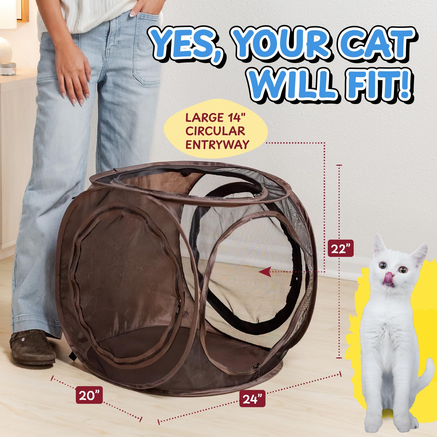 Folded-flat view of the Sexy Liza’s Cat Cube for compact storage.