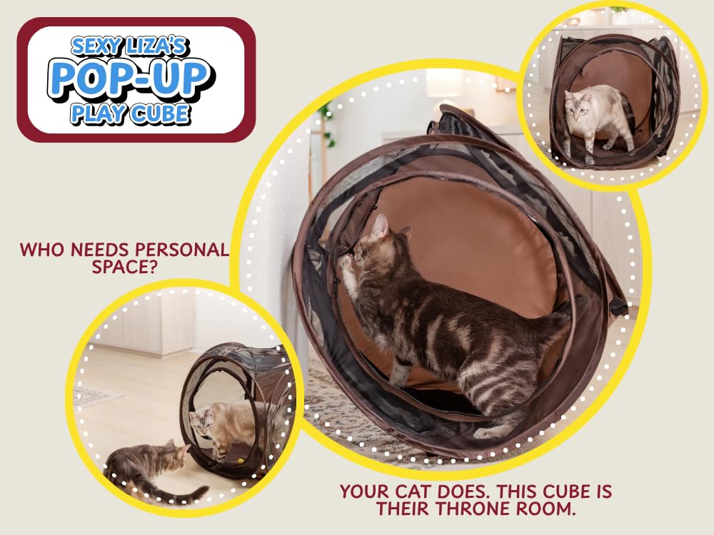 Outdoor use of Sexy Liza’s Cat Cube on a patio or balcony.