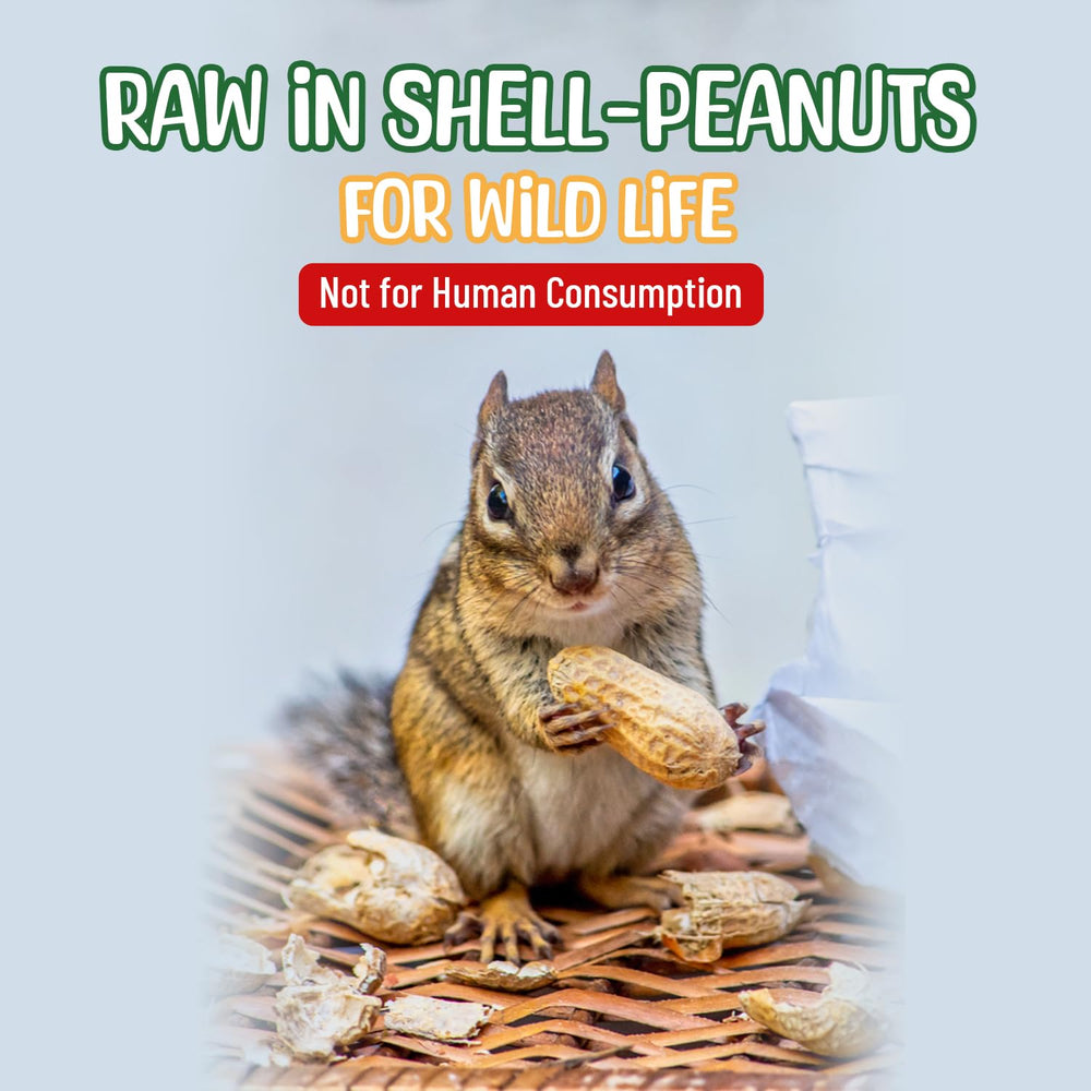 Not for human consumption — Sneaky Mango peanuts for wildlife use.