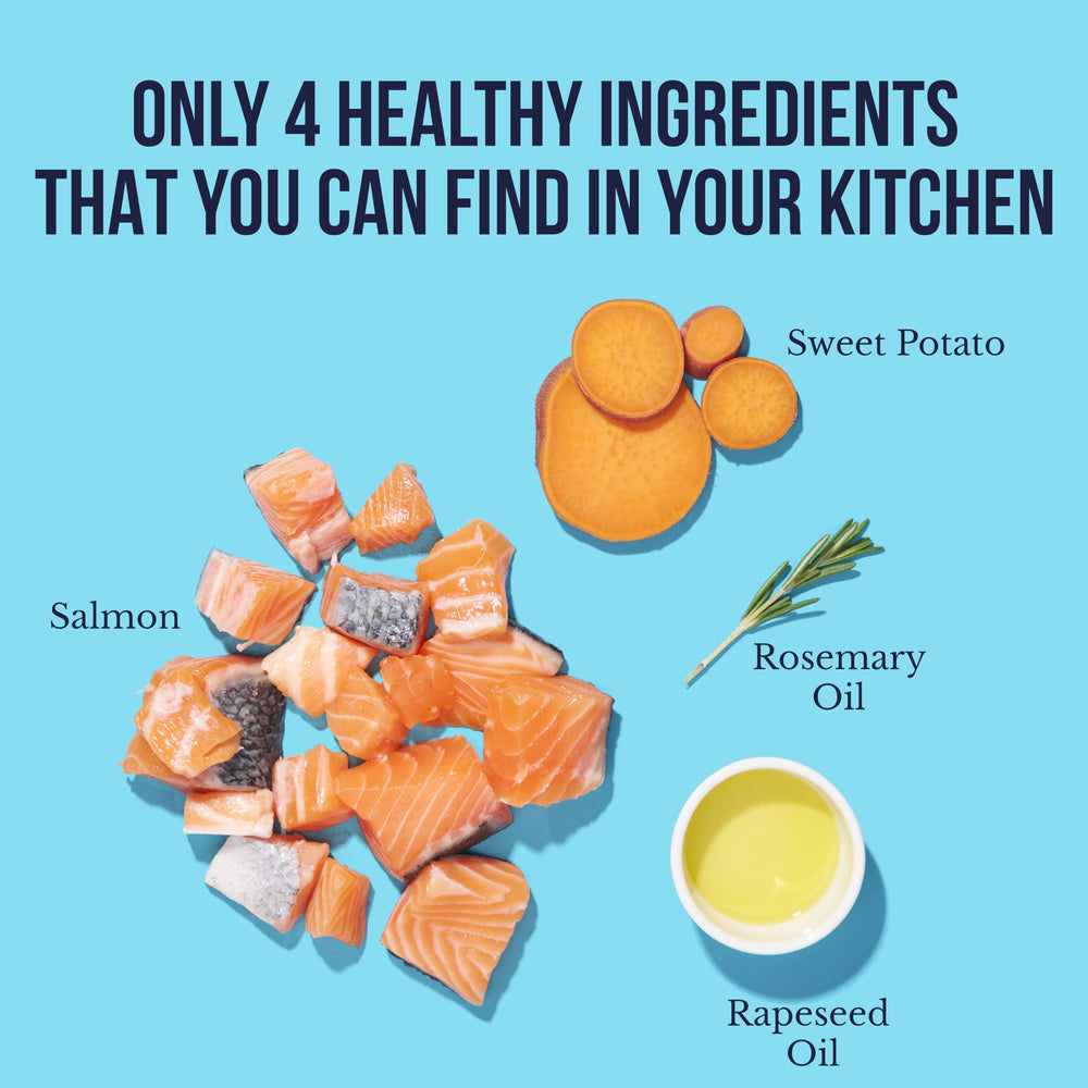 Snif-Snax Salmon Bites suit puppies and adult dogs for training.
