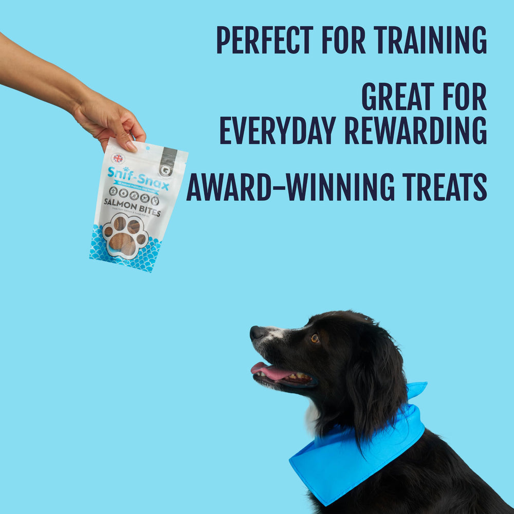 Snif-Snax Salmon Bites have a soft texture, ideal for gentle training rewards.