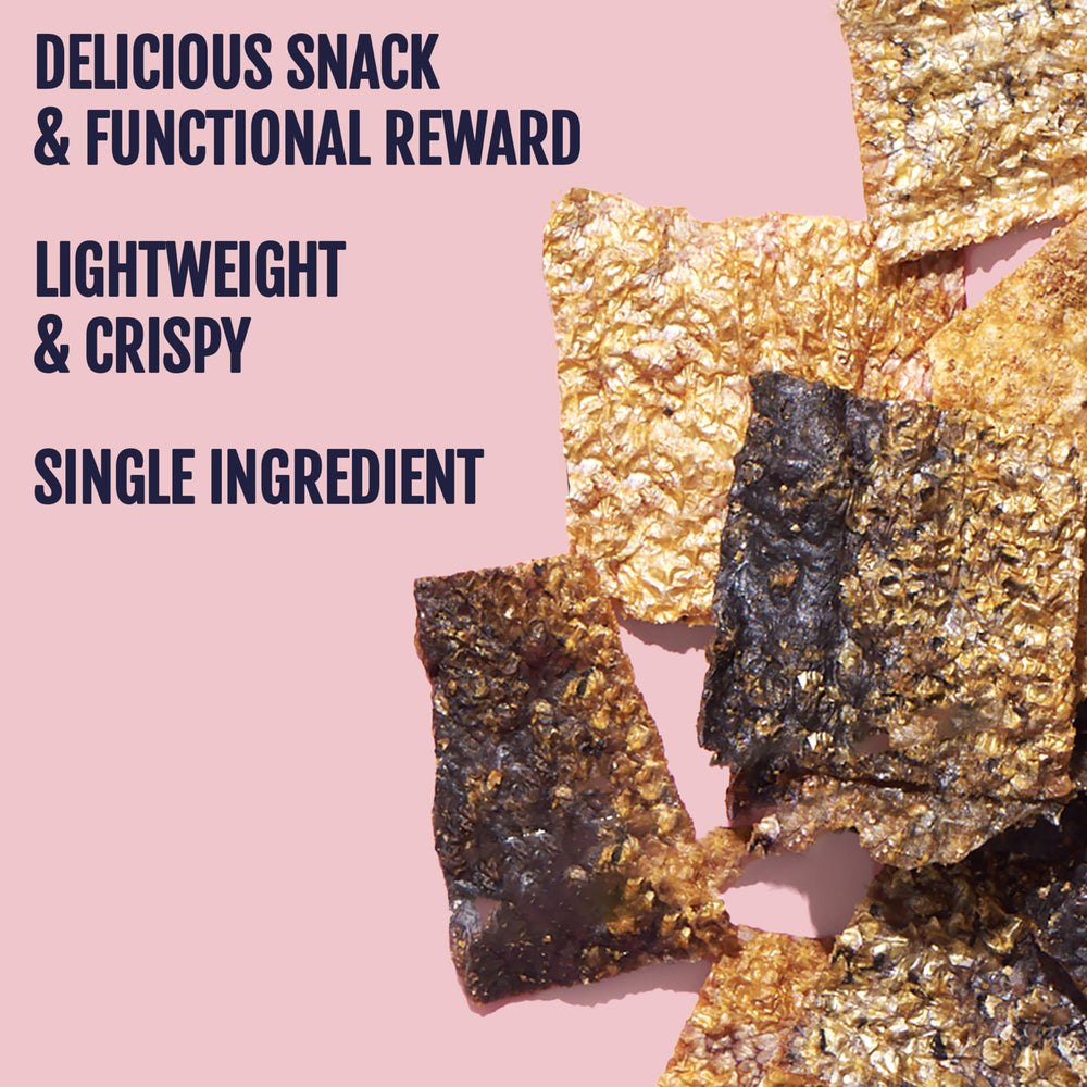 Snif-Snax single-ingredient label highlighting pure salmon skin for sensitive dogs.
