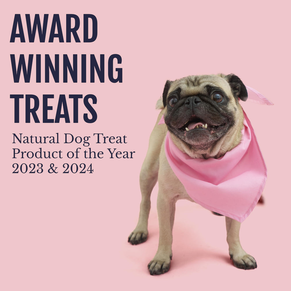 Snif-Snax training treats, light yet flavorful, perfect for rewarding good behavior.
