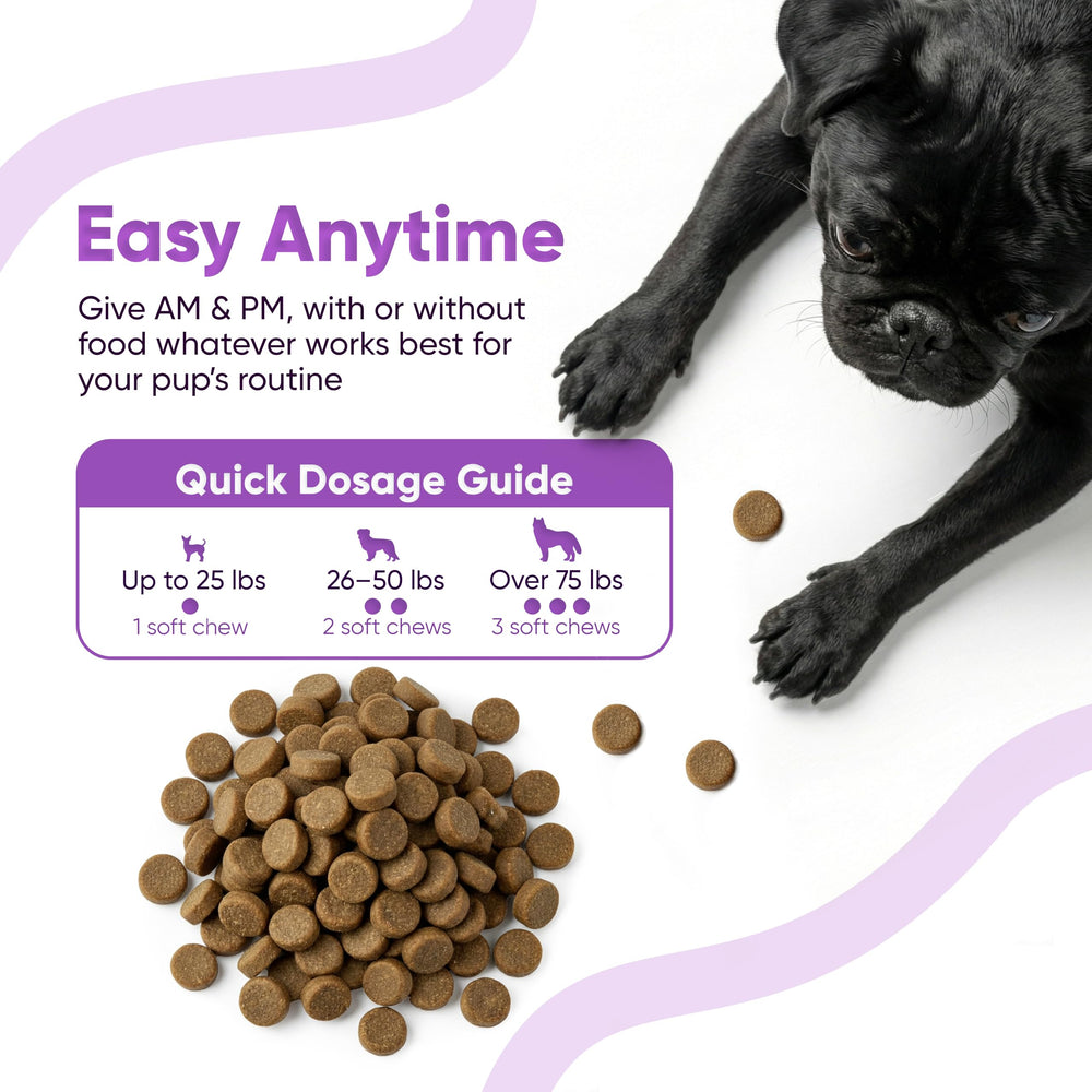 Soft chew closeup showing easy-to-chew texture and peanut butter flavor appeal.