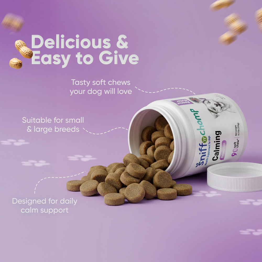 Dog eating Sniff 'N' Chomp calming chews demonstrating high palatability.