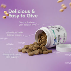 Dog eating Sniff 'N' Chomp calming chews demonstrating high palatability.