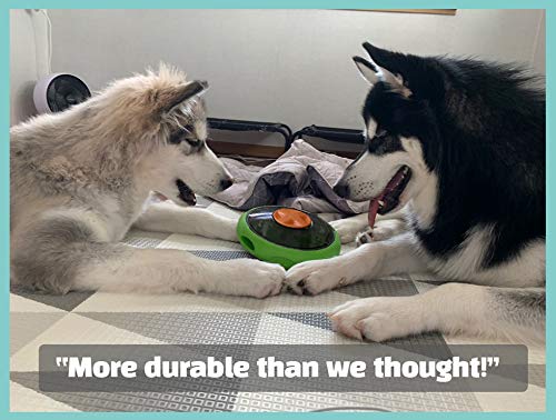 Sniffiz SmellyUFO dog enrichment puzzle boosts mental activity during solo play.
