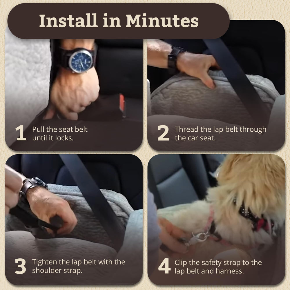 Snoozer Lookout I durable water-resistant fabric withstands playful wear.