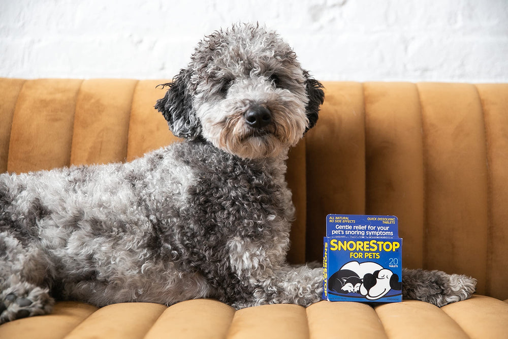 Natural ingredients label on SnoreStop for Pets highlighting a non-sedative formula.