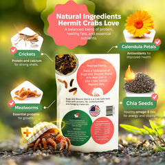 Snout and Shell Bugs and Blooms bowl serving captures varied insects for daily forage.