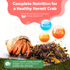 Snout and Shell Bugs and Blooms insect protein detail emphasizes shell and molt support.