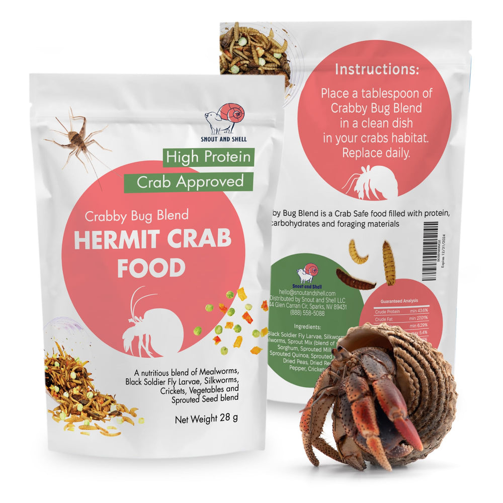 Snout and Shell Daily Feast ingredients spread highlighting natural foraging materials.