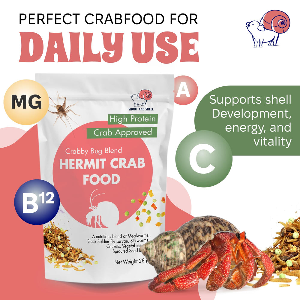 Oyster shell pieces visible in Daily Feast mix supporting calcium intake.