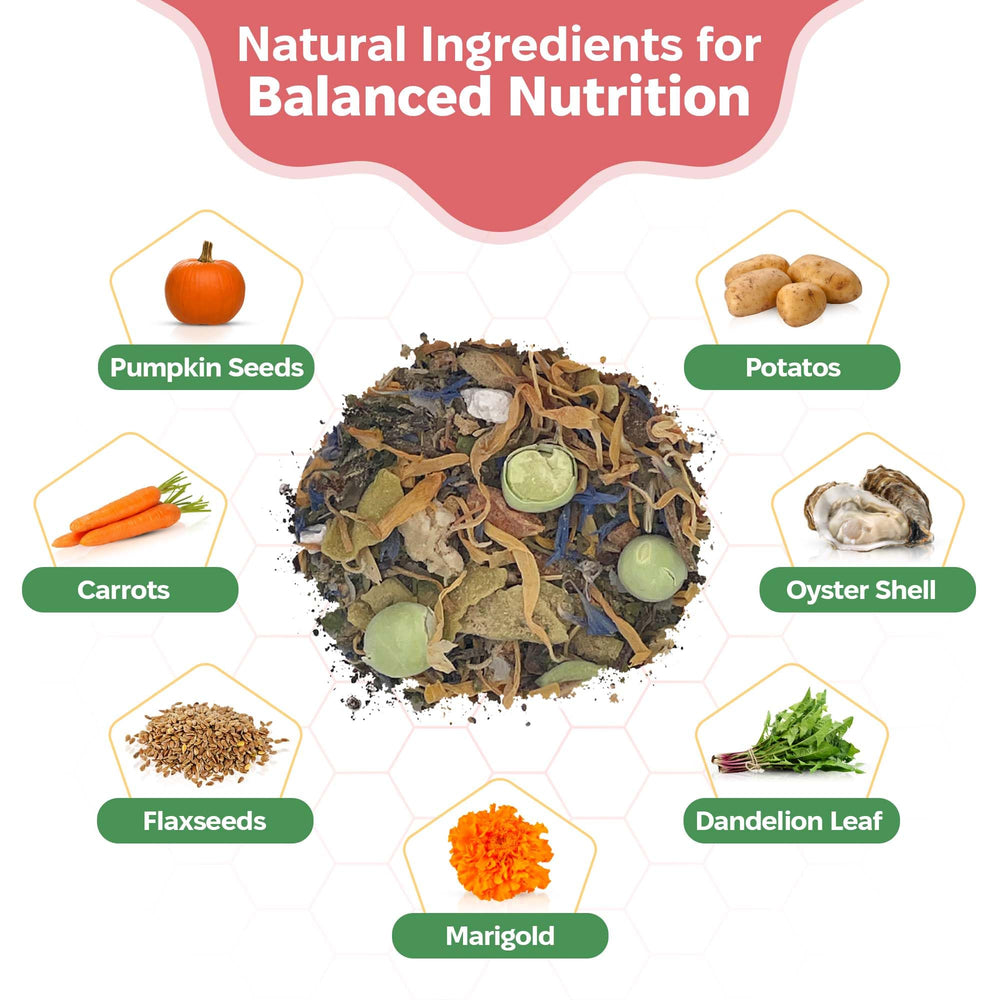 Snout and Shell Garden Foraging Blend texture with pea flakes and flaxseed detail