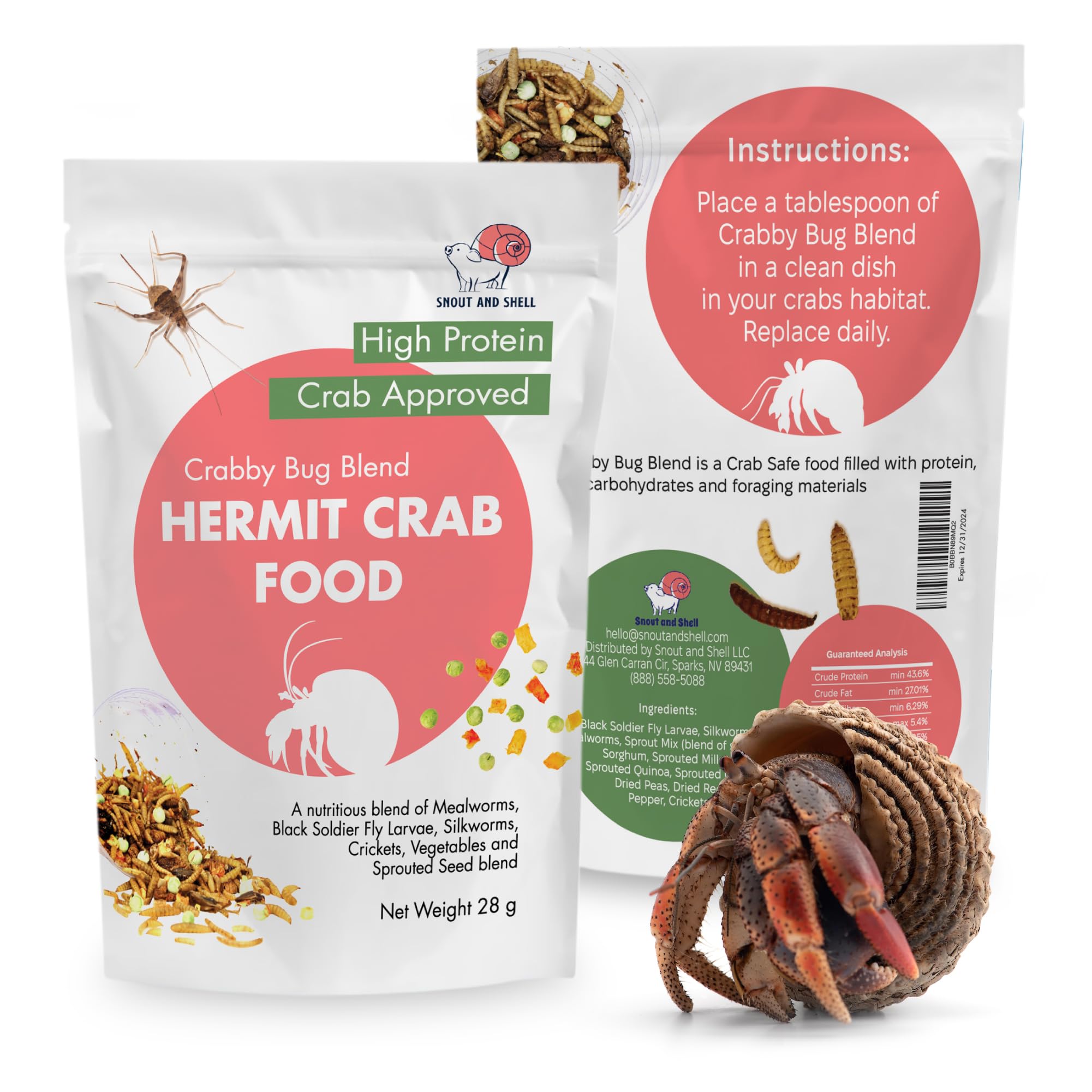 Snout and Shell hermit crab feeding dish featuring Crabby Bug Blend.