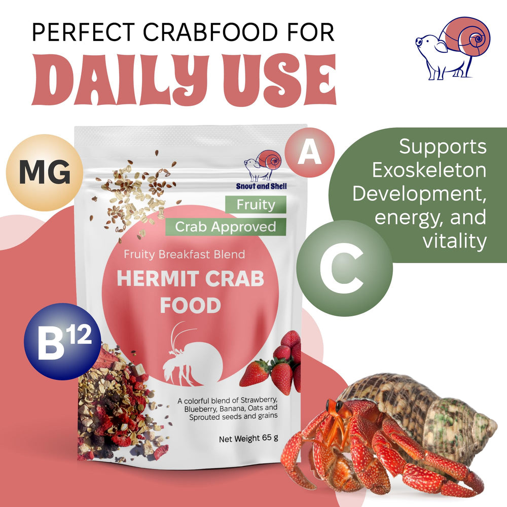 Snout and Shell hermit crab fruit ingredients closeup highlighting real fruit.