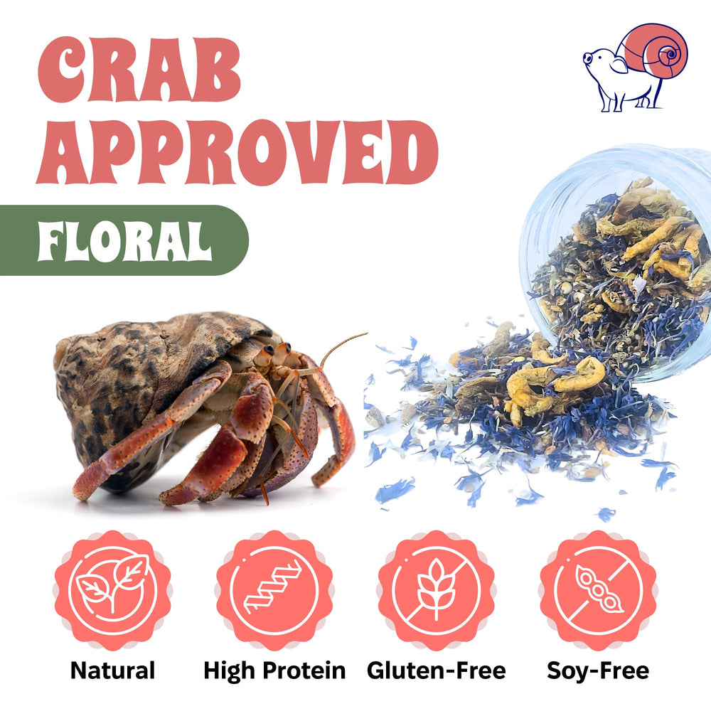 Snout and Shell protein pellets support a balanced hermit crab diet.