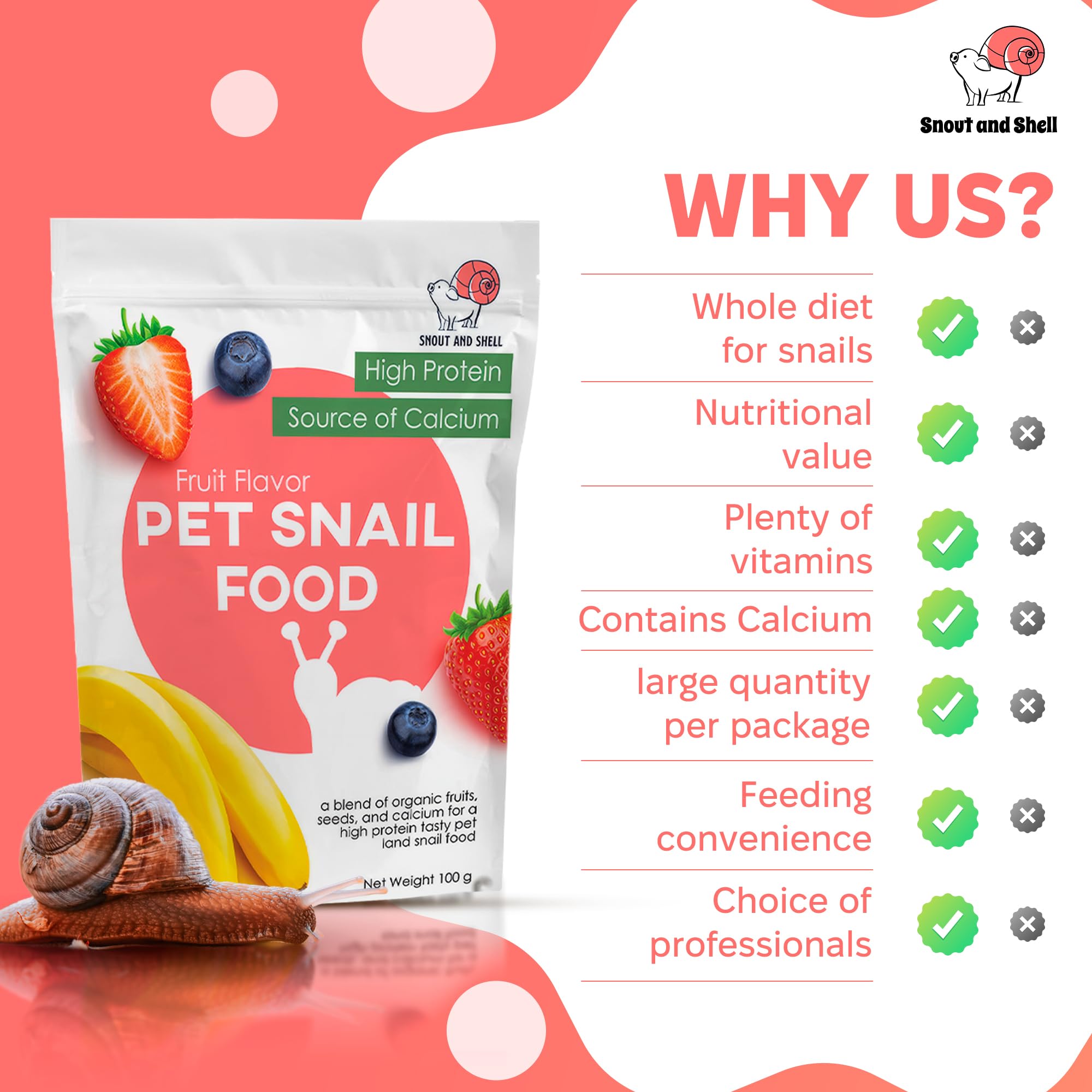Snout and Shell snails enjoy the snack mix during feeding.
